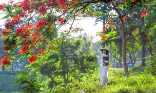 Miền hạ xưa